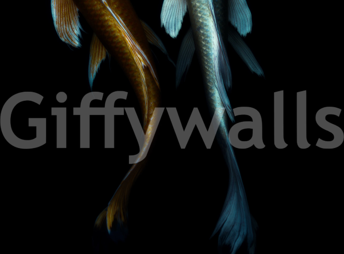 Abyssal Koi Wall Mural -2544367