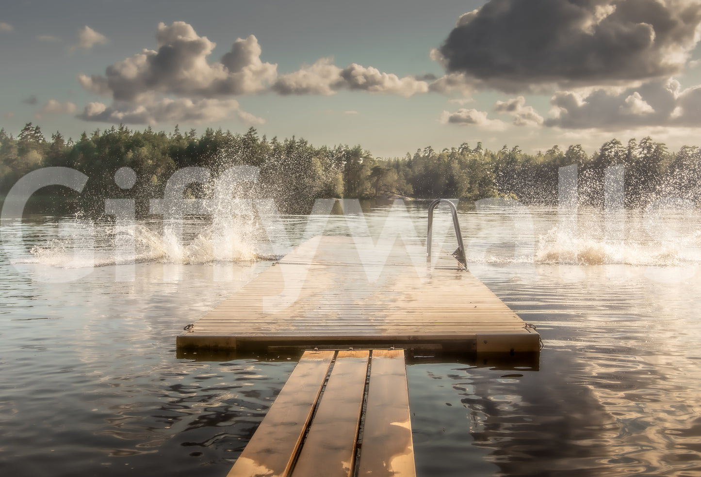 Lake Jump! Wall Mural -2221045