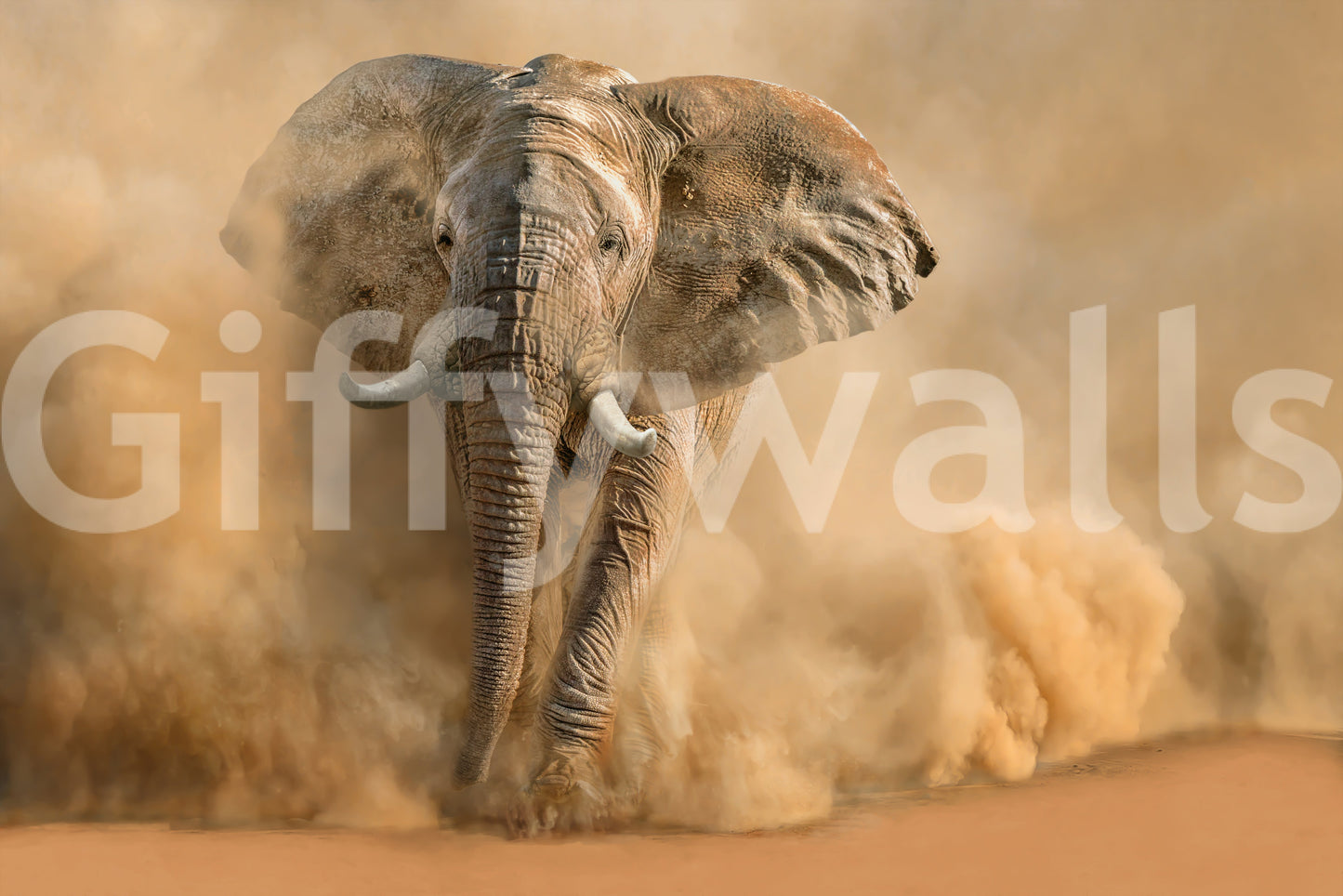 Dust Storm Charge Wall Mural -2244884