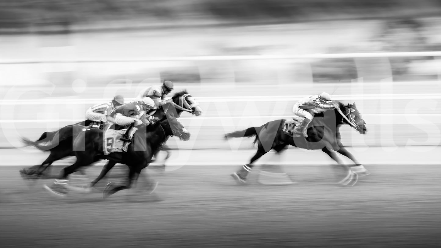 Horse Track Action Wallpaper – Stunning horse race mural with vivid colors and dynamic perspective.