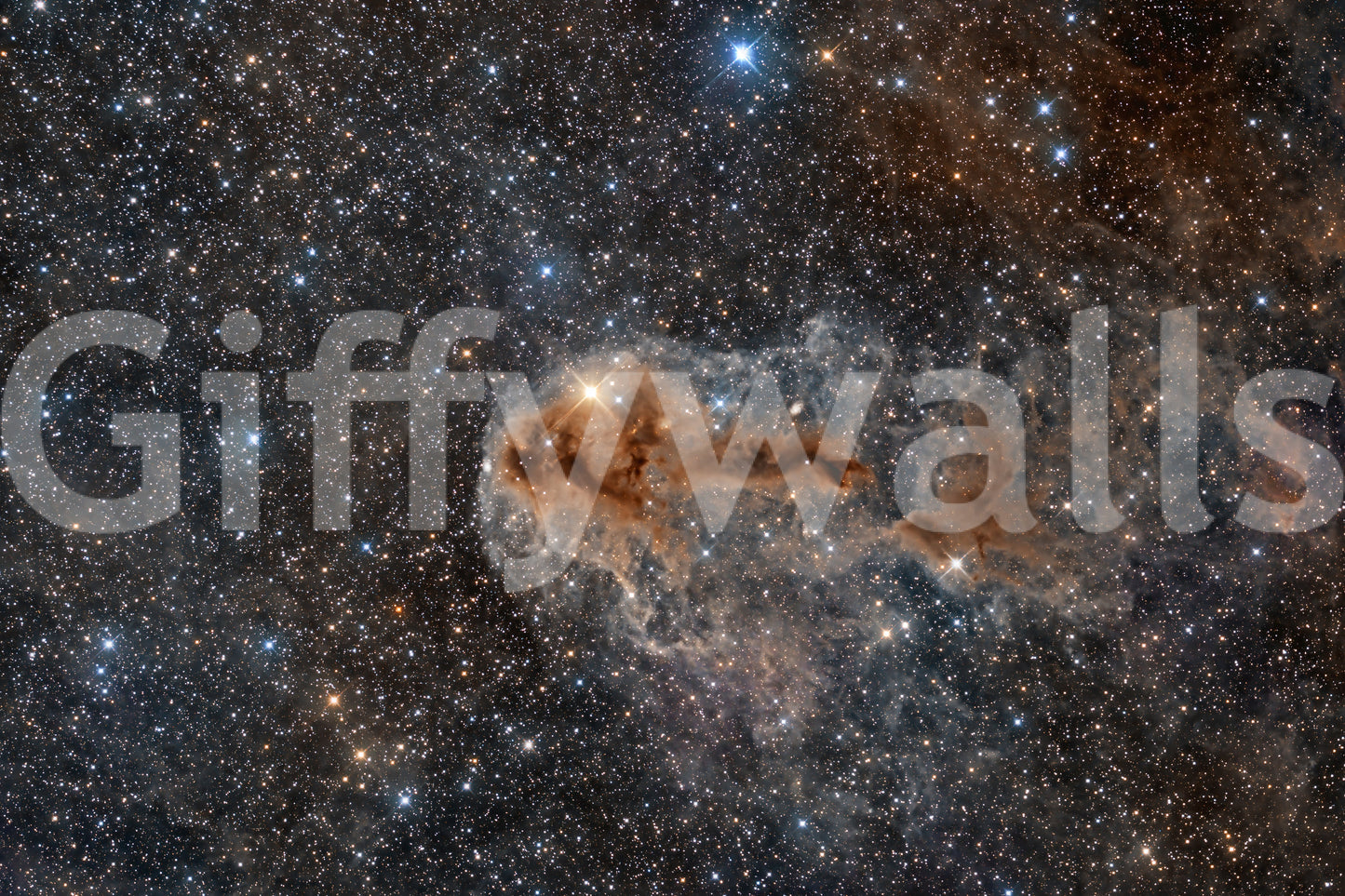 Night Sky Canvas Wall Mural -2318114