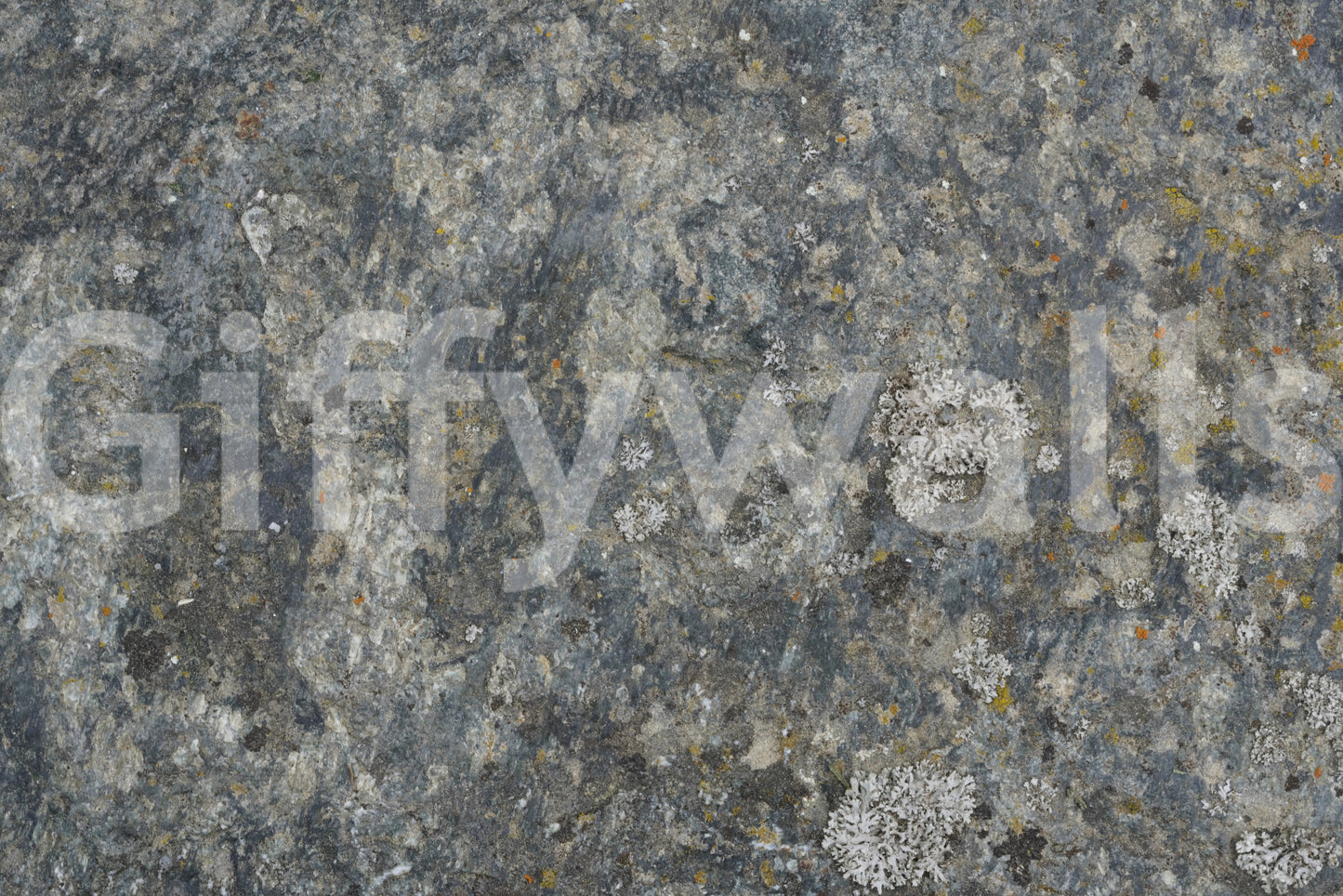 Stone Whisper Wall Mural -2566589