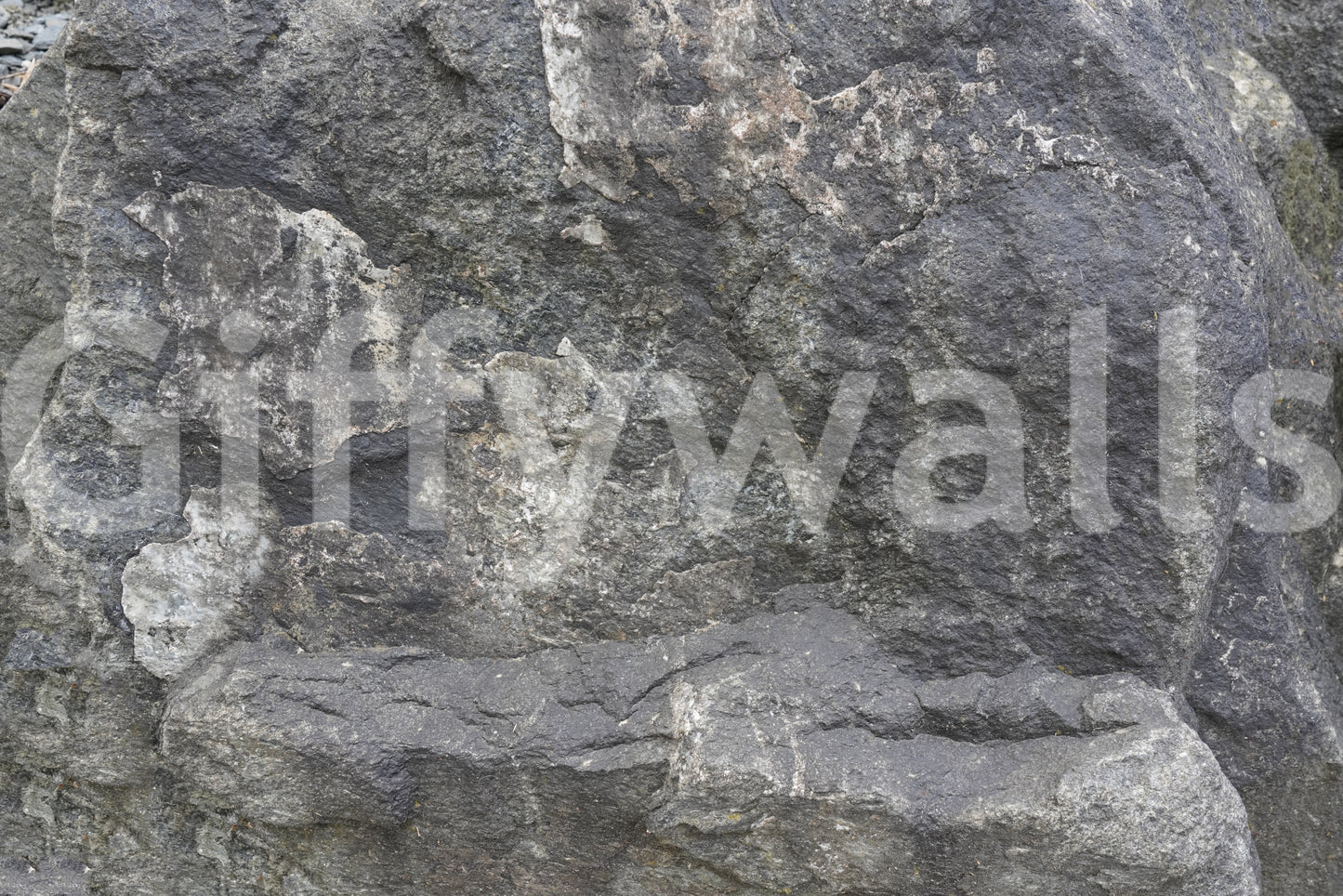 Rocky Surface Wall Mural -2566618