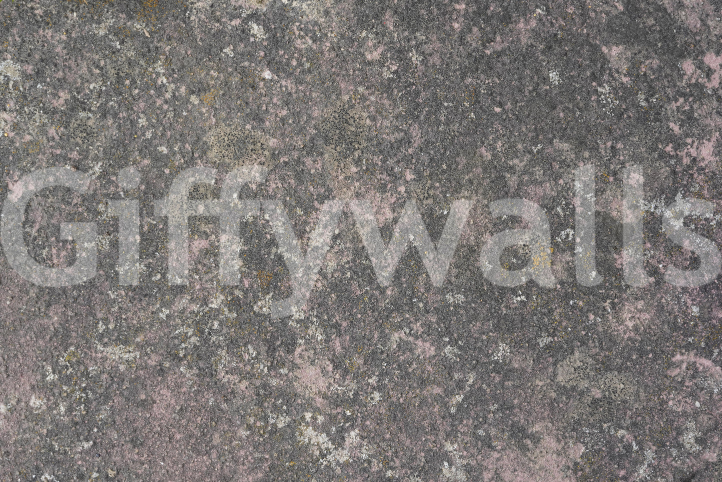 Whispers of Pink Stone Wall Mural -2566600