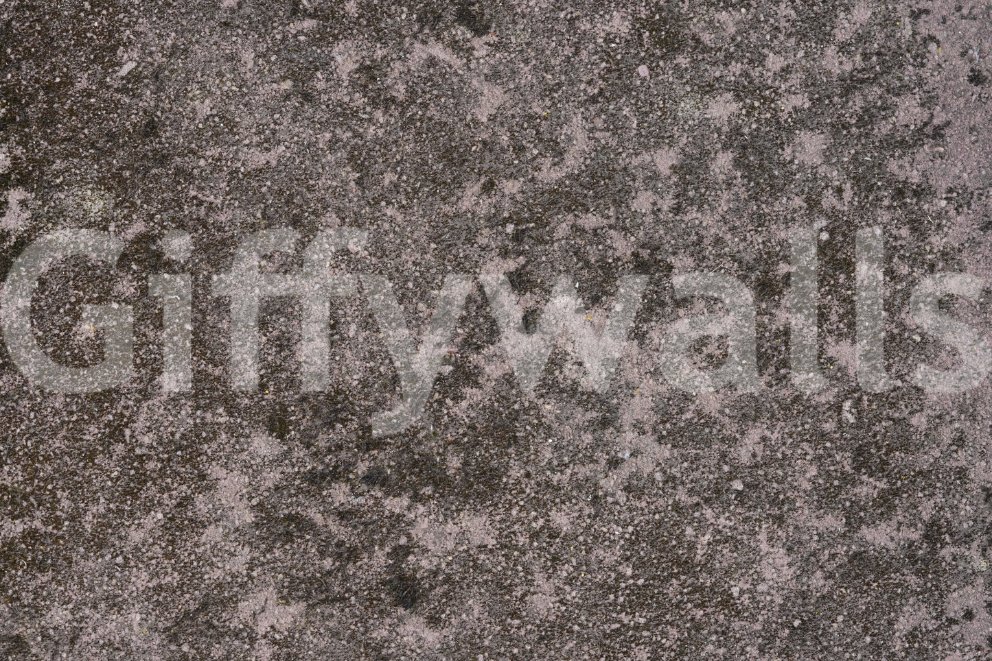 Mottled Earth Wall Mural -2566603