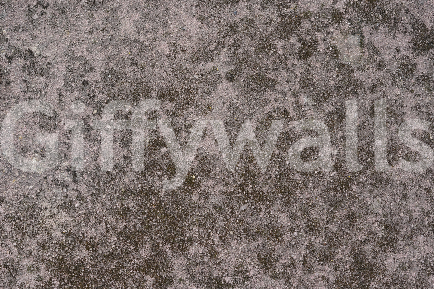 Grunge Finish Wall Mural -2566602