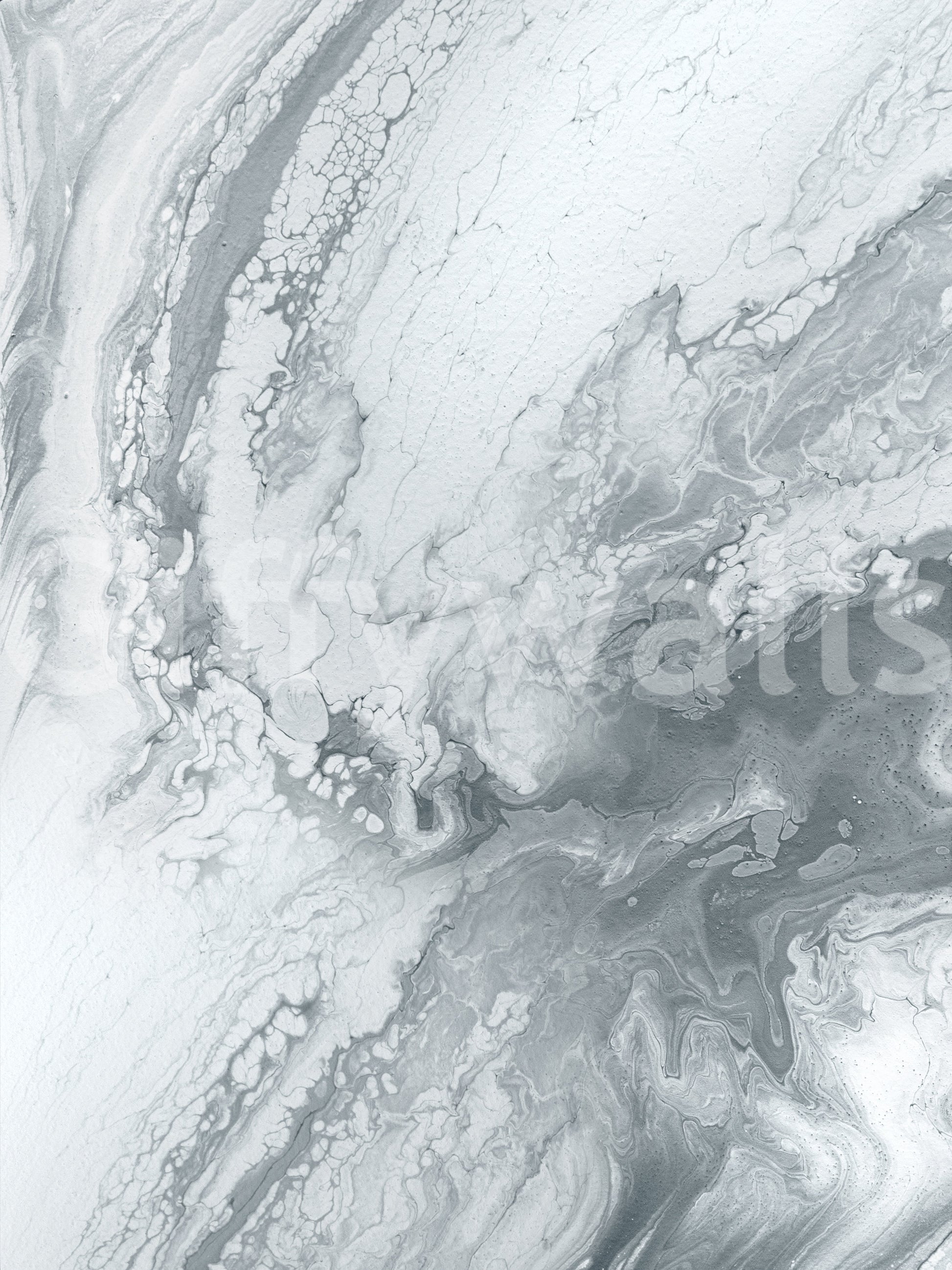 Silver Swirls Wall Mural combining metallic shine and flowing abstract patterns for stylish décor.