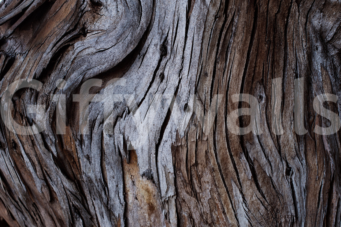 Worn Timber Wall Mural -2226210