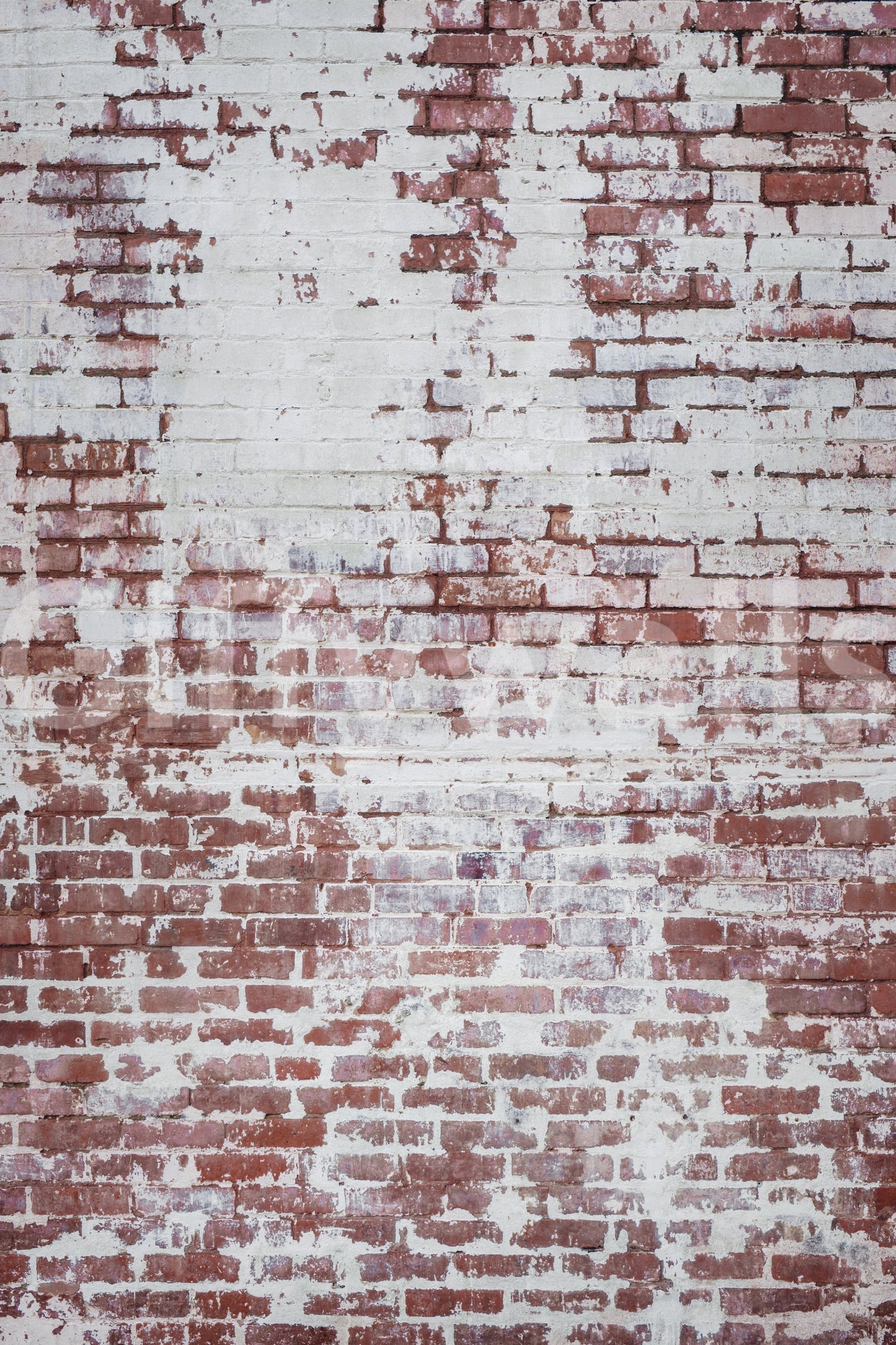 Urban Decay Brick Wall Mural -2226413
