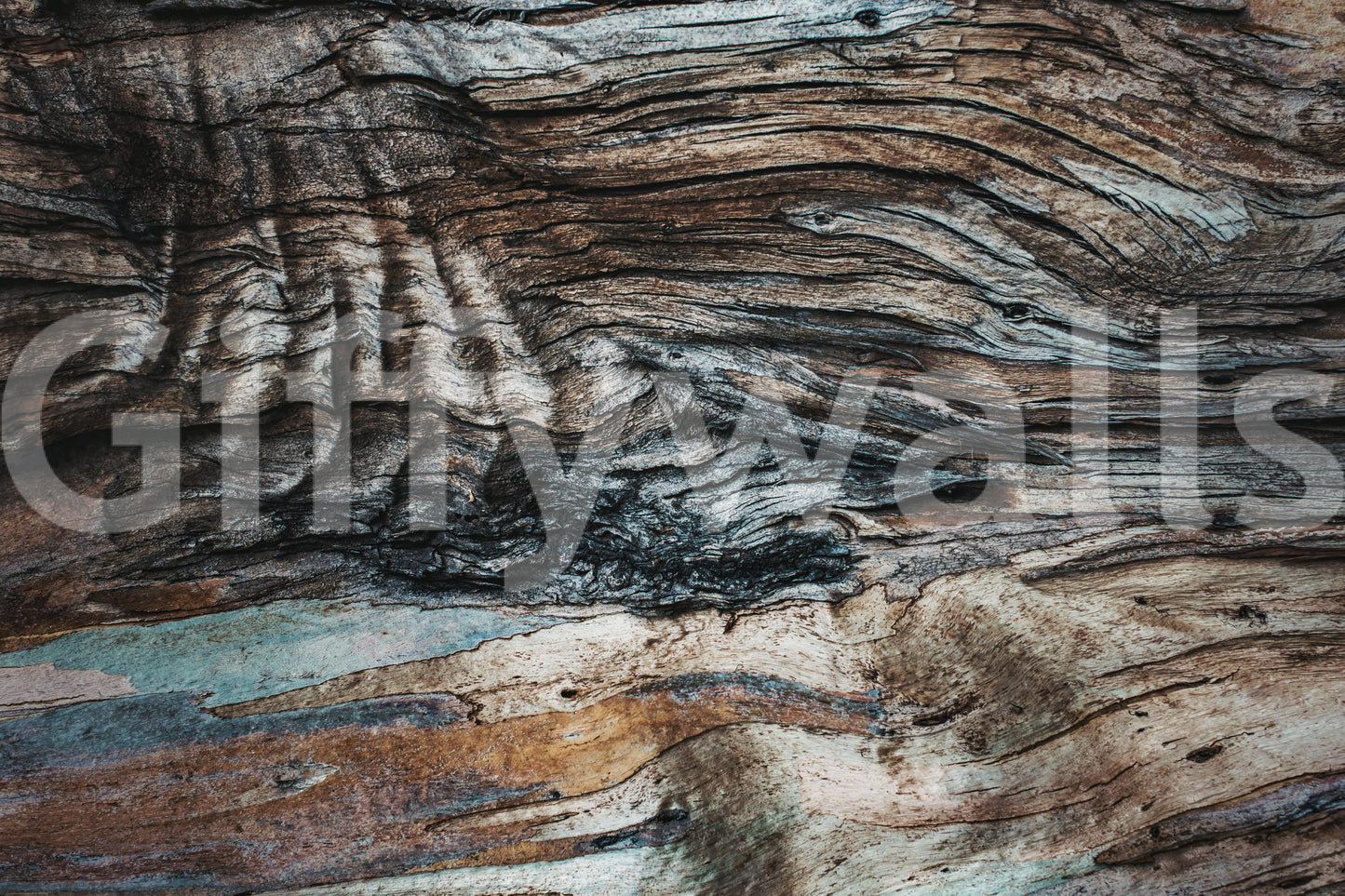 Eucalyptus Bark Texture Wall Mural -2226209