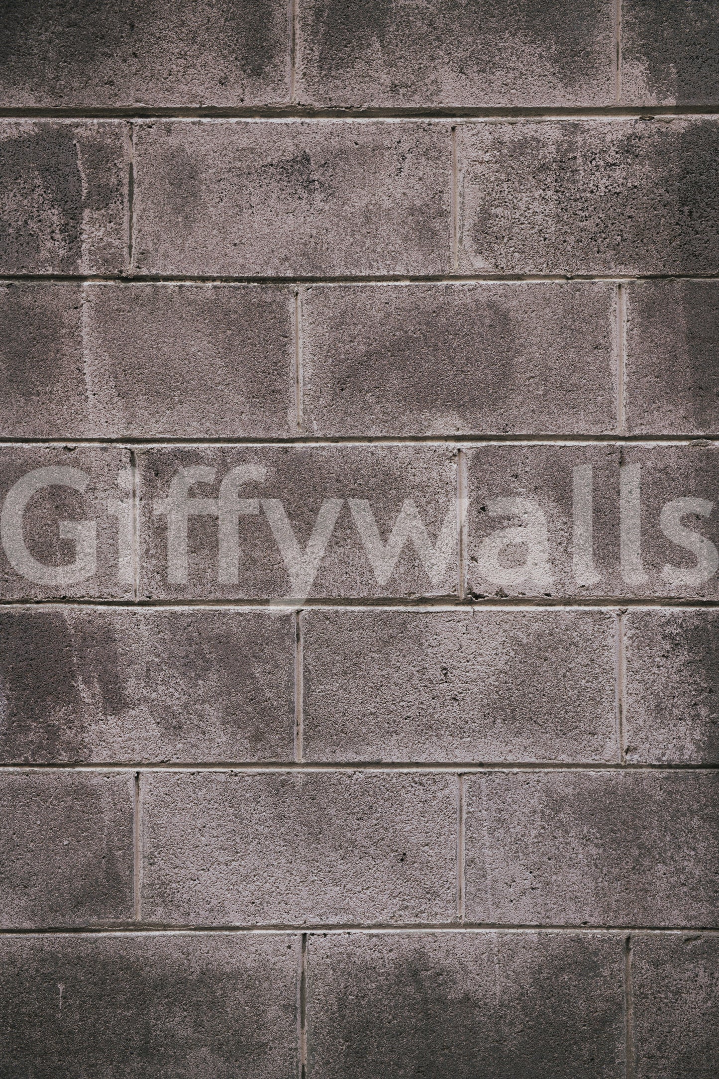 Distressed Walls Wall Mural -2226412