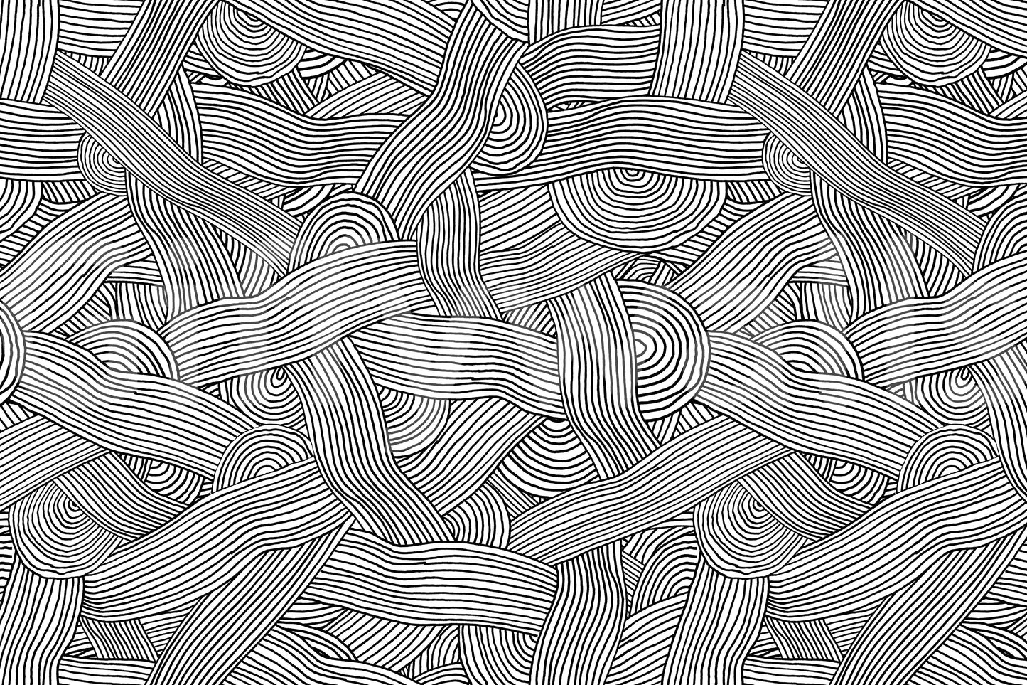 Monochromatic Striped Maze  Wall Mural