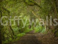 Nature inspired wallpaper thick forest greenery inviting pathway view.