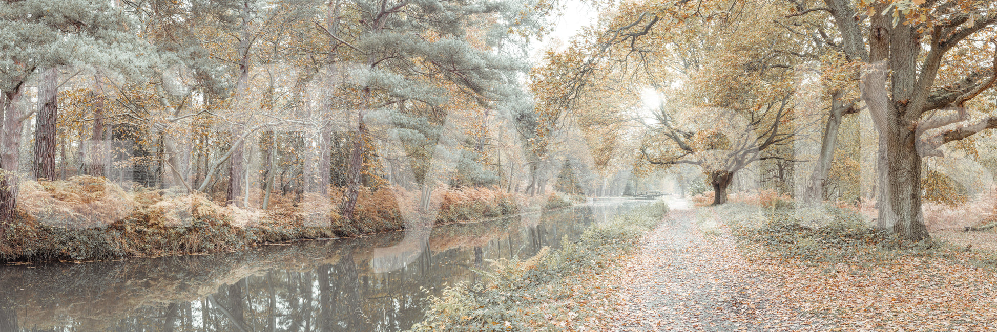 Scenic autumn landscape mural with a calm waterway bordered by tall trees.