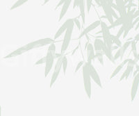 A modern botanical wallpaper featuring subtle bamboo leaf forms for a fresh, airy feel.