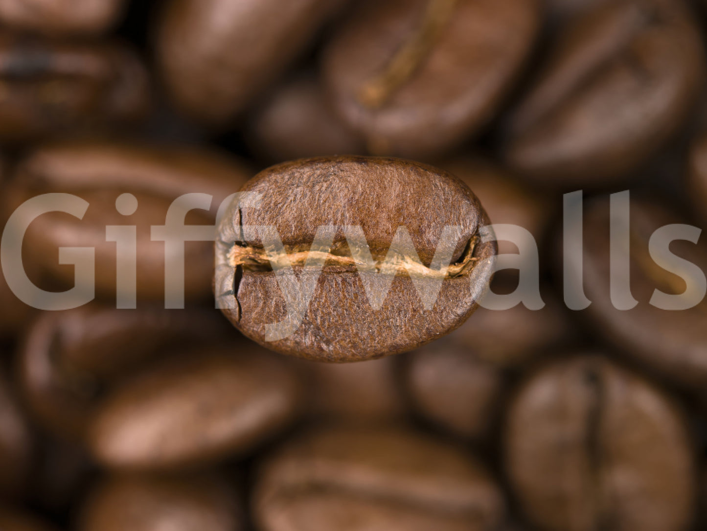 A vibrant wallpaper capturing the natural texture of coffee beans, perfect for kitchens, cafés, or coffee lovers’ spaces.