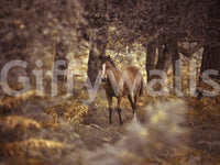 The wallpaper offers an intimate view of a wild horse blending beautifully into a muted forest palette.