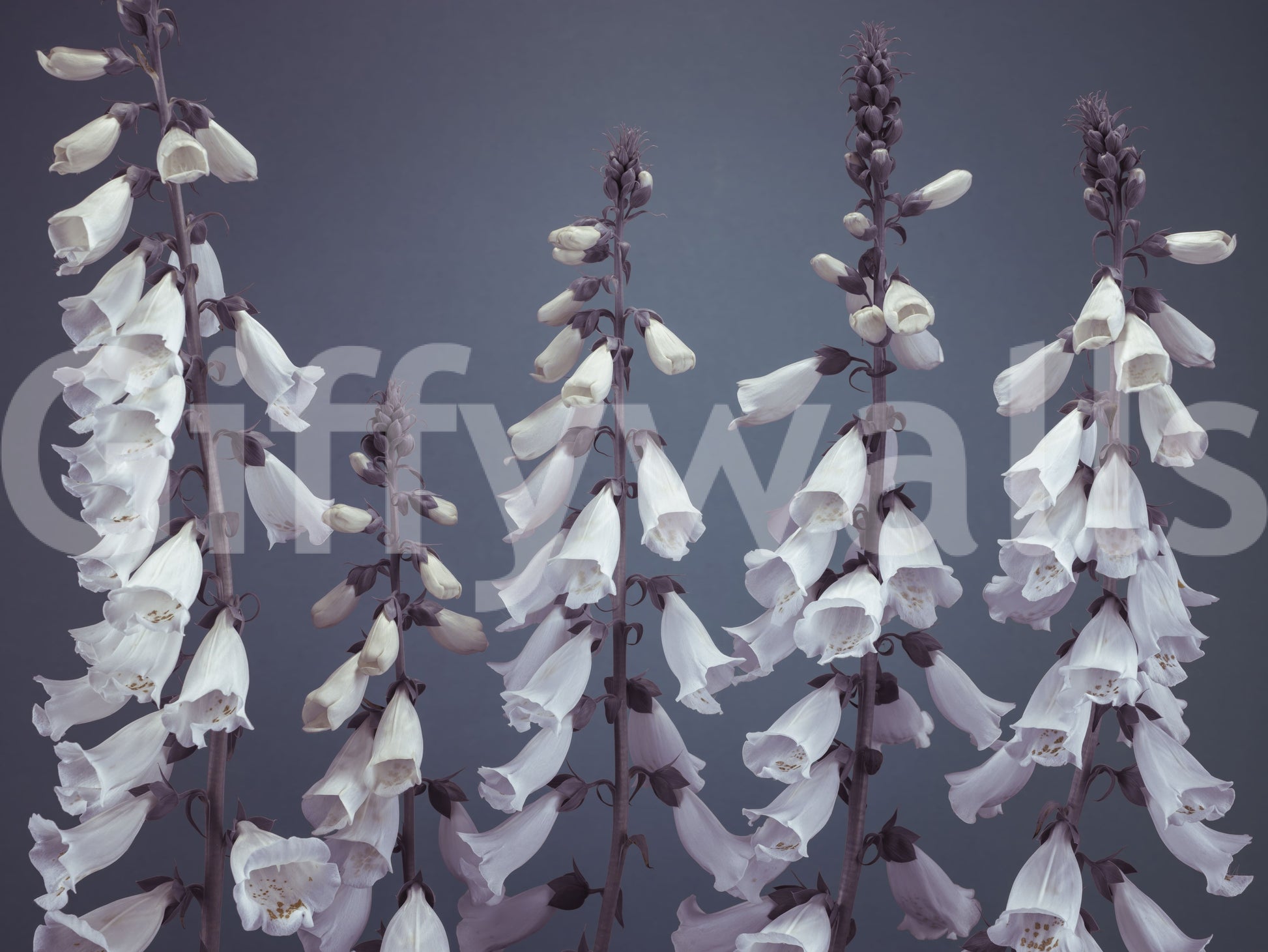 High resolution botanical study wallpaper, fantasy flower towers.