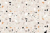 Light base Terrazzo Art Natural Stone mural scattered fragments.