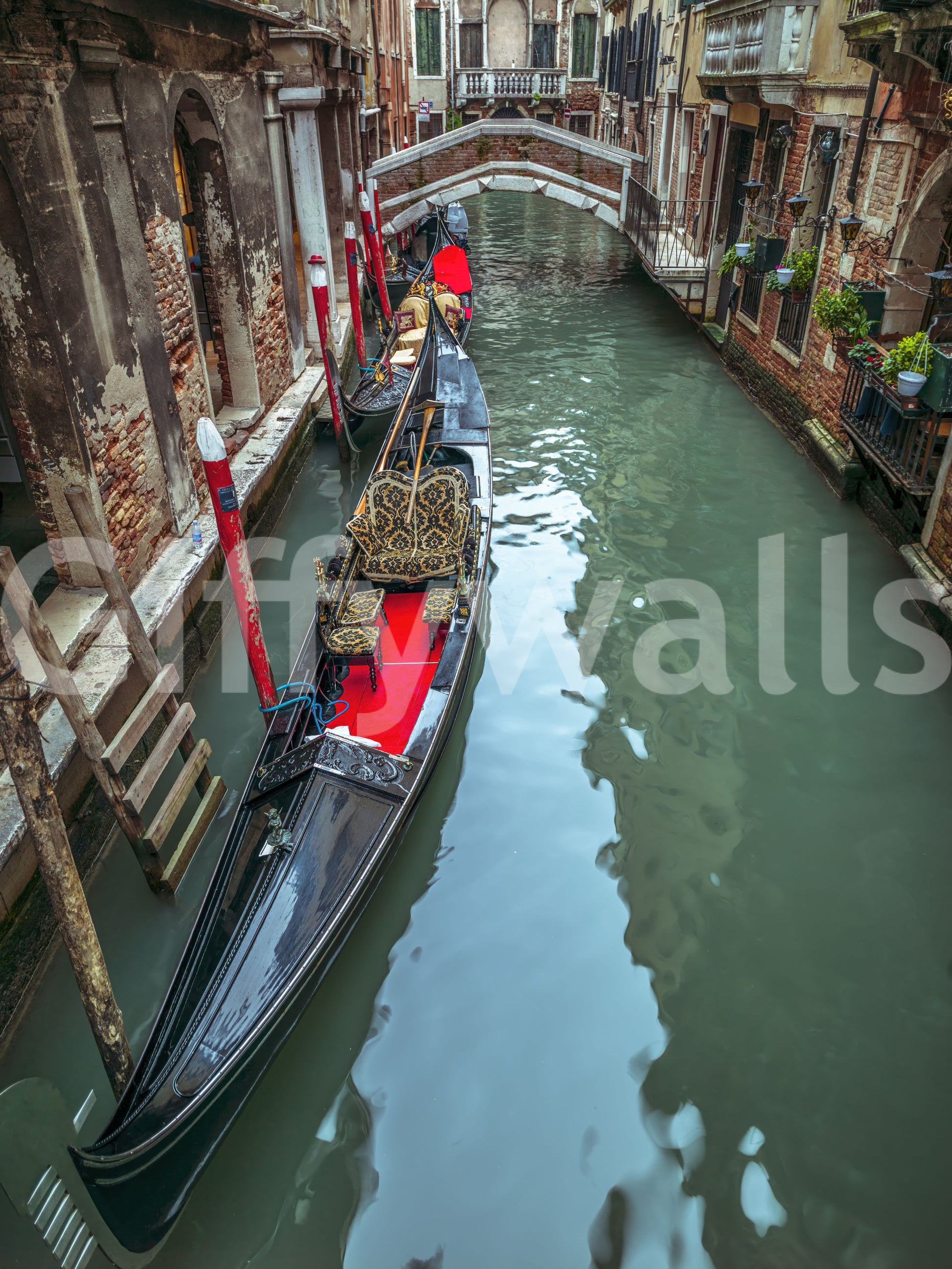 Gondola Dream product, vibrant red accents, serene green water.