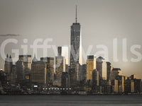 Cityscape Glow product capturing the immense scale of big apple.
