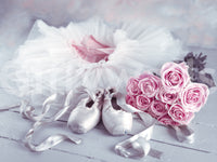 Ballet photography, stunning Graceful Ballet Still Life with Roses artwork.