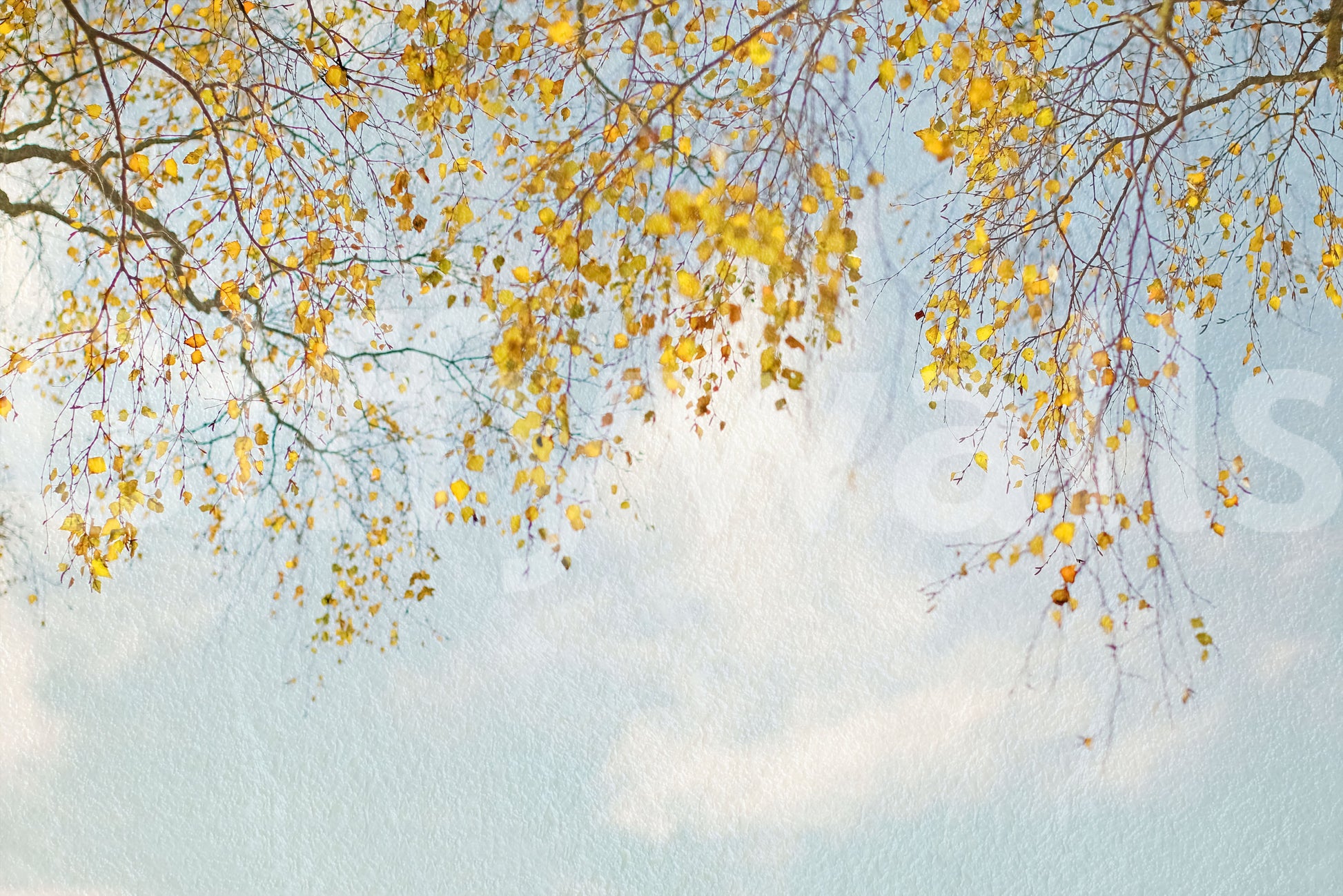 Inspiring Autumn Hues Woodland print, watercolor effect, exclusive wallpaper.