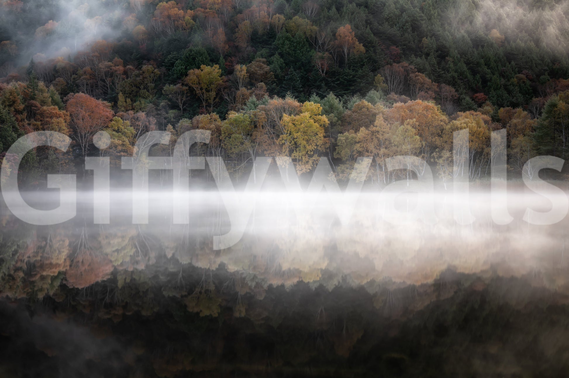 Mist Reflection wall poster, peaceful mountain trees design.