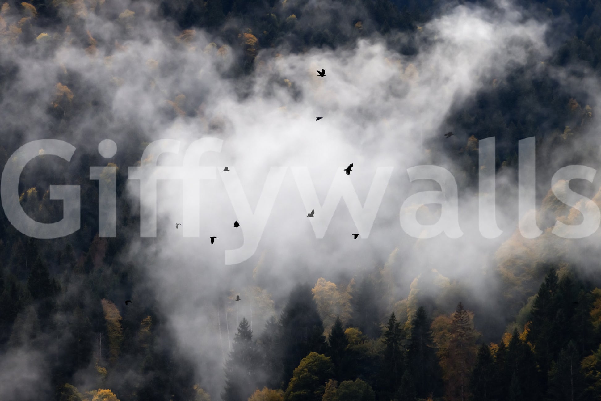Beautiful wall mural, mountain forest, floating clouds, crows in the air.