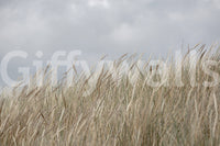 Golden brown pasture flora depicted in Woodland Dune Grass wallpaper art.