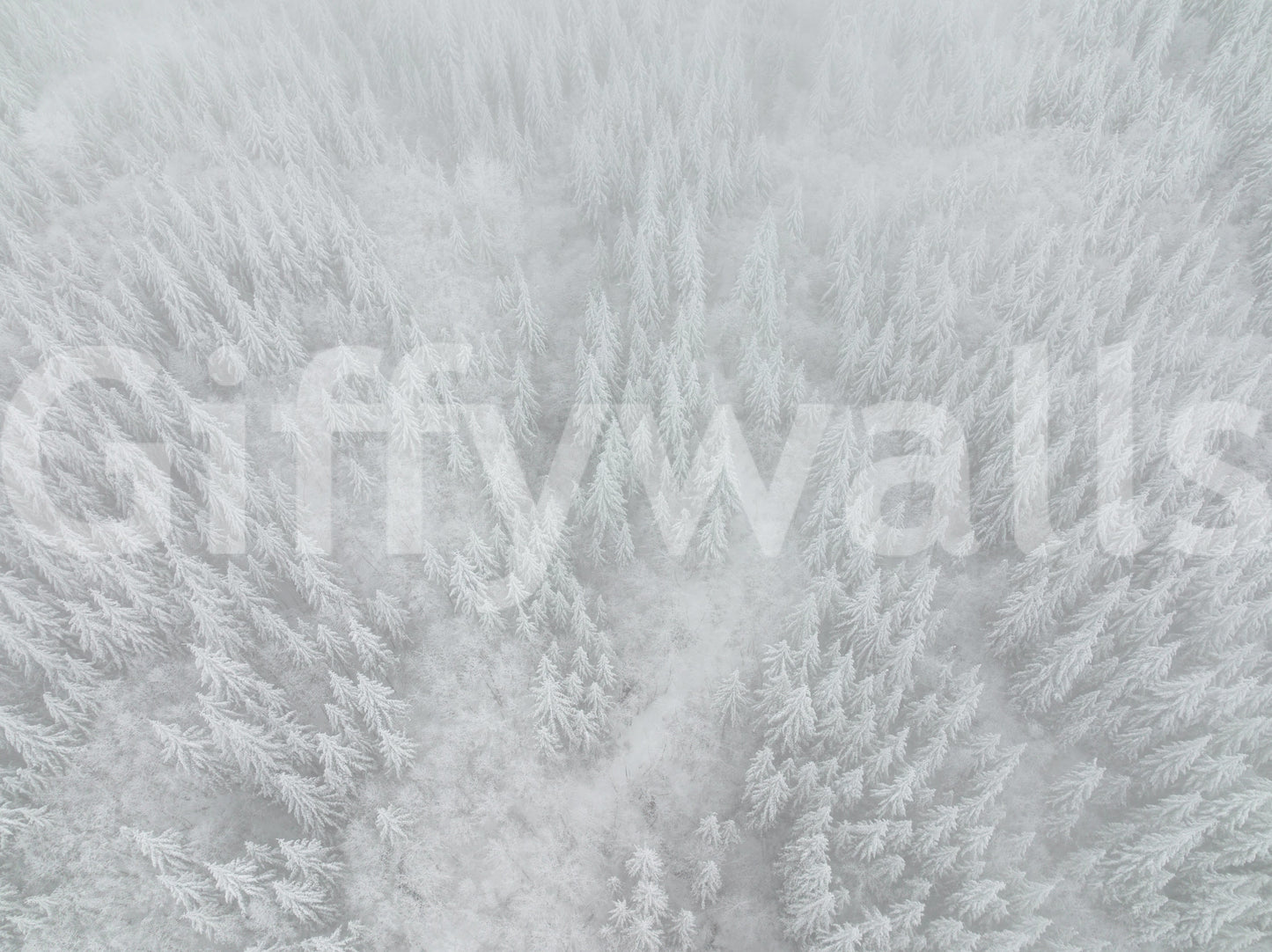 Breathtaking snowy forest wallpaper for walls, Canopy of ice, serene winter view.