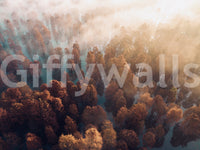 Forest wall mural covering, rust colored leaves, unique aerial perspective, Misty Autumn Forest.