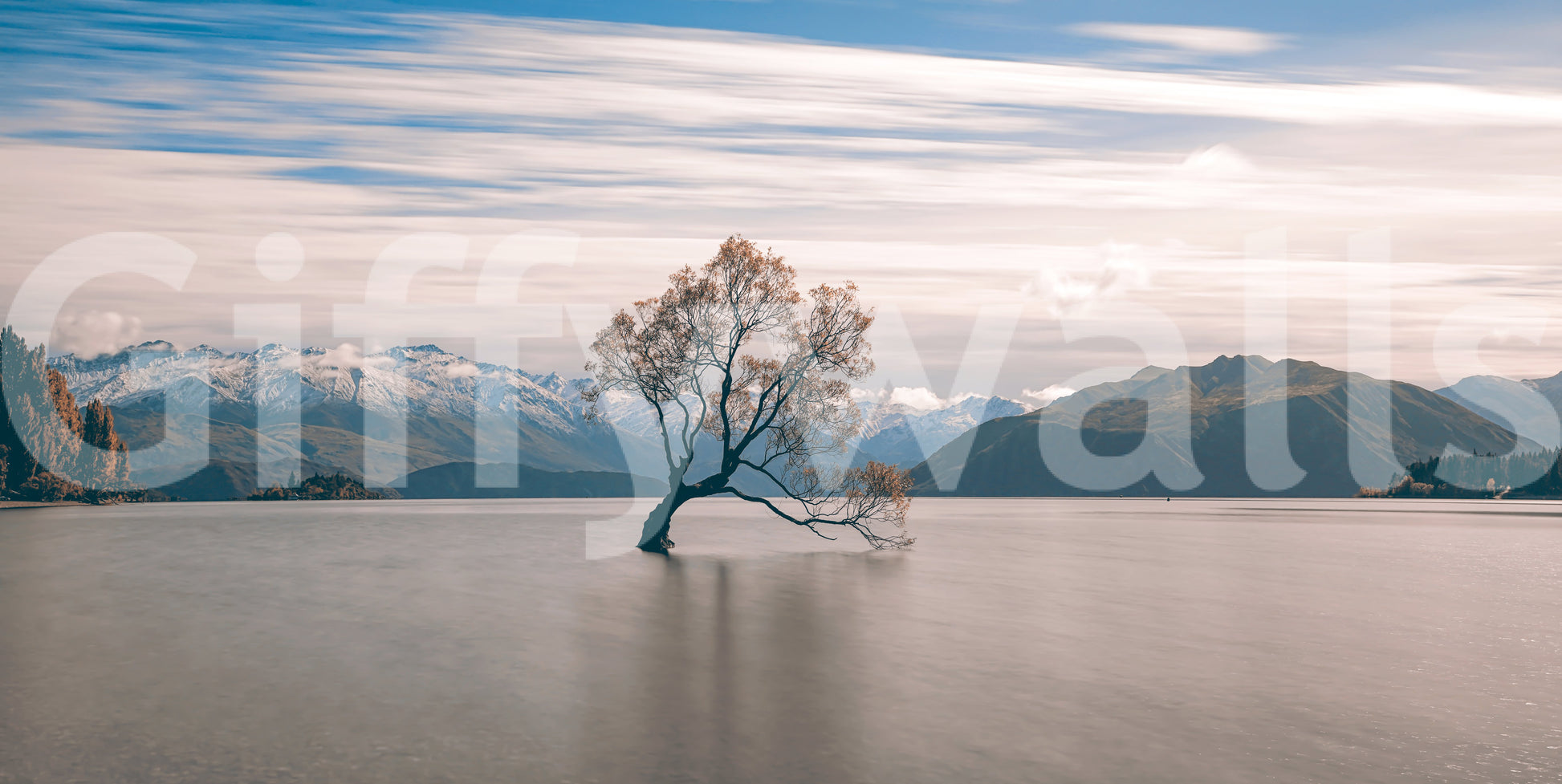 Lake Wanaka Tree Serenity Majestic peak backdrop, famous solitary plant, tranquil setting.
