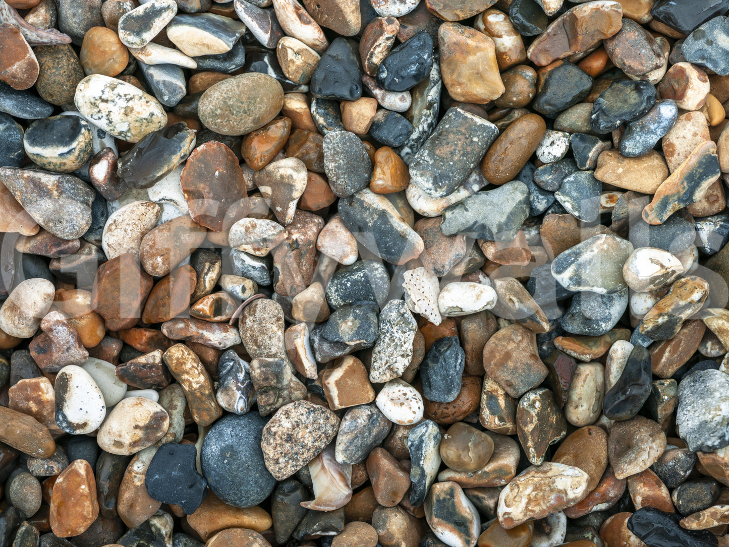 Organic Beach Pebbles wall mural room surface.