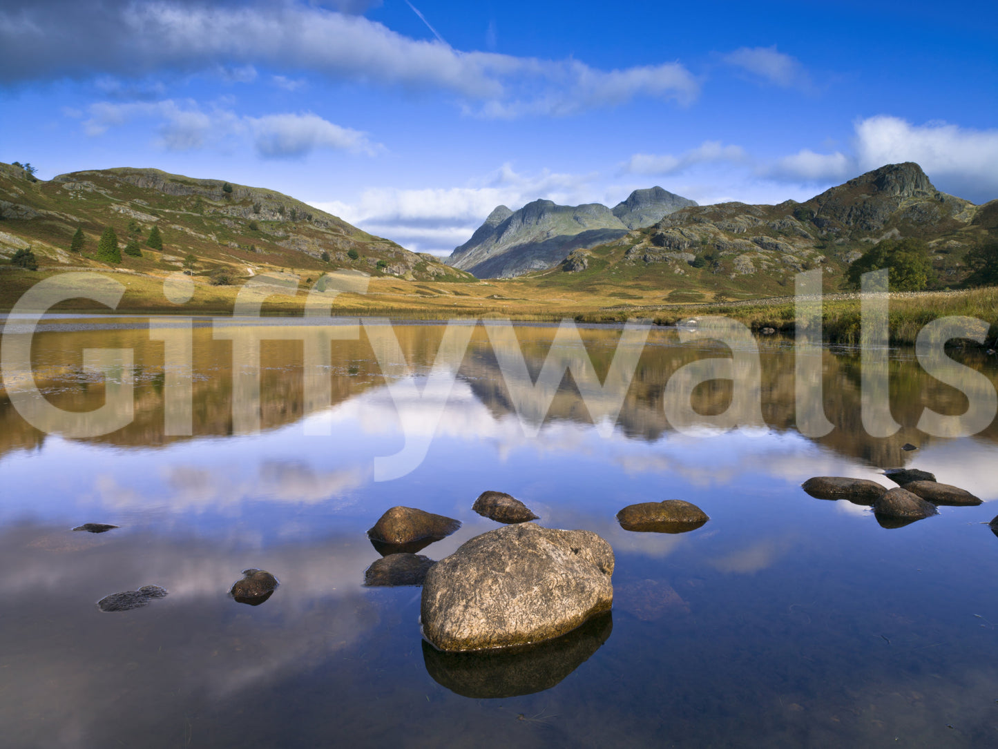 Scenic Mountains reflections wall design, natural mirror effect, water's edge.