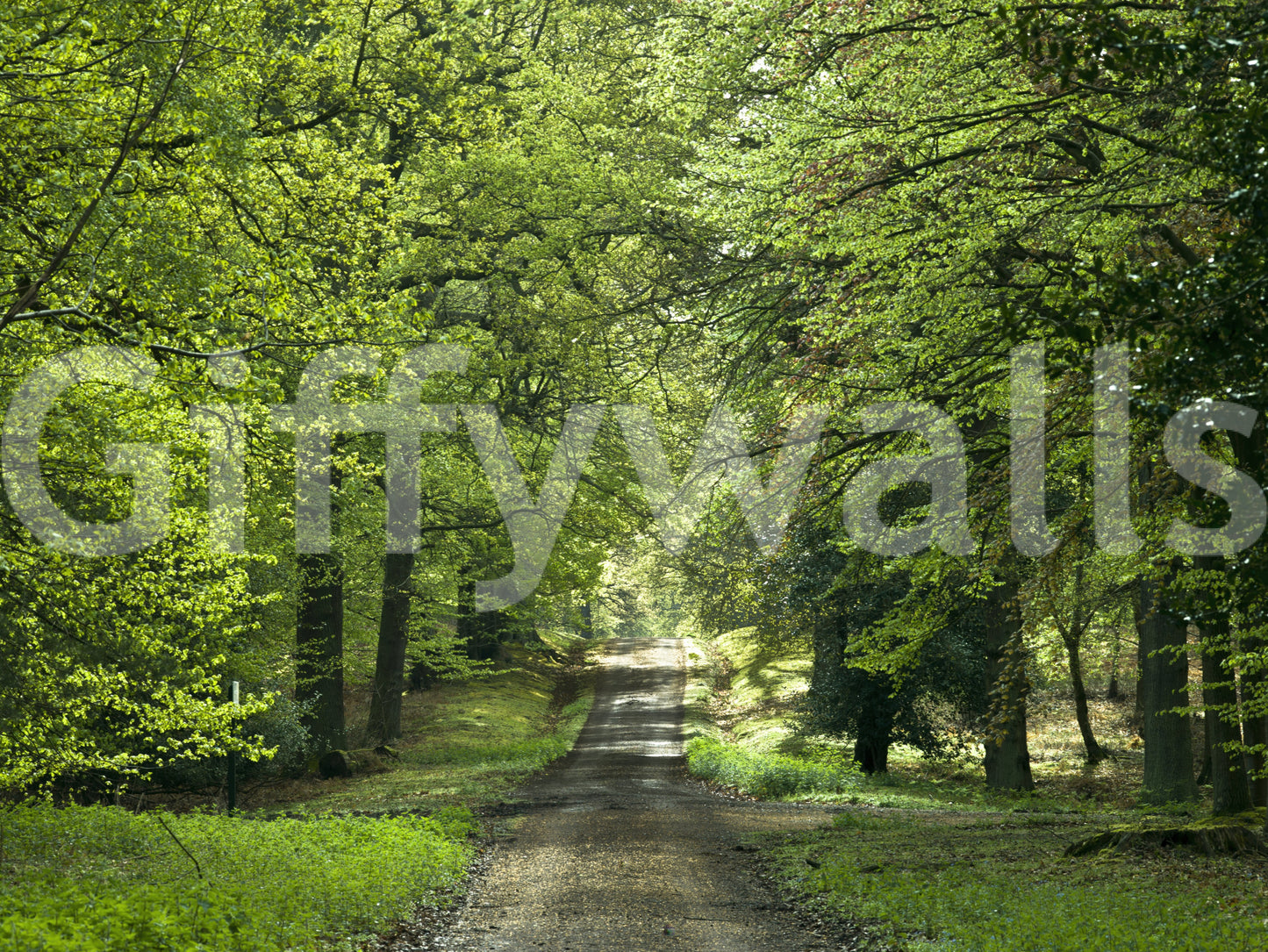 Escape into the woods with the Flourishing Path wall mural design.