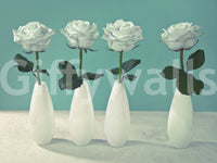 Floral Quartet wallpaper for walls, dramatic, pristine, soft, isolated, gorgeous display.
