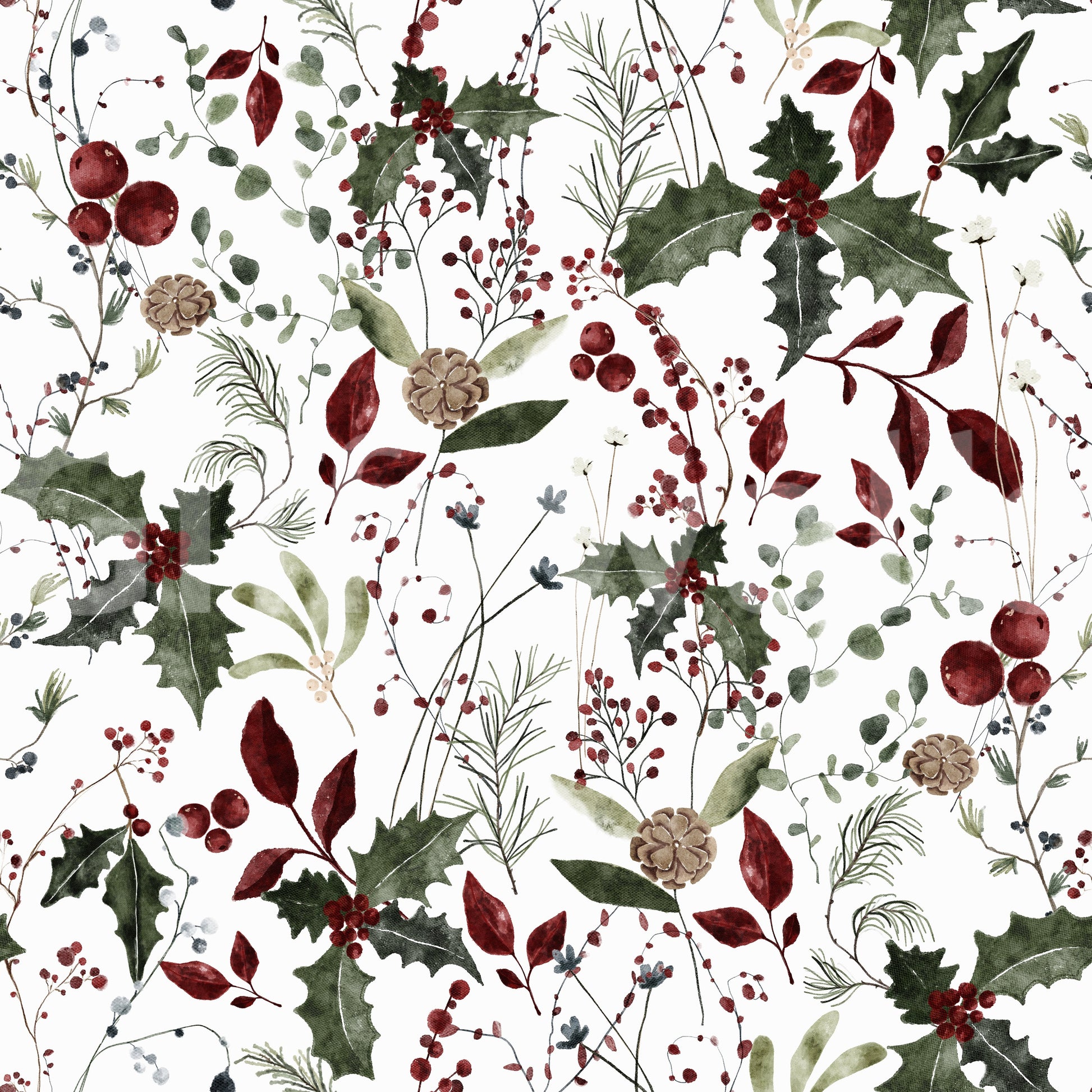 Botanical illustration wallpaper for walls with berries.