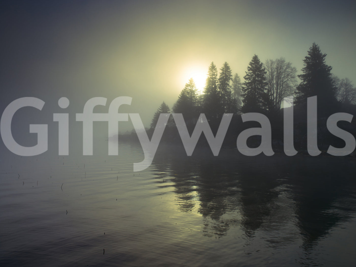 Misty Dawn Wall Mural