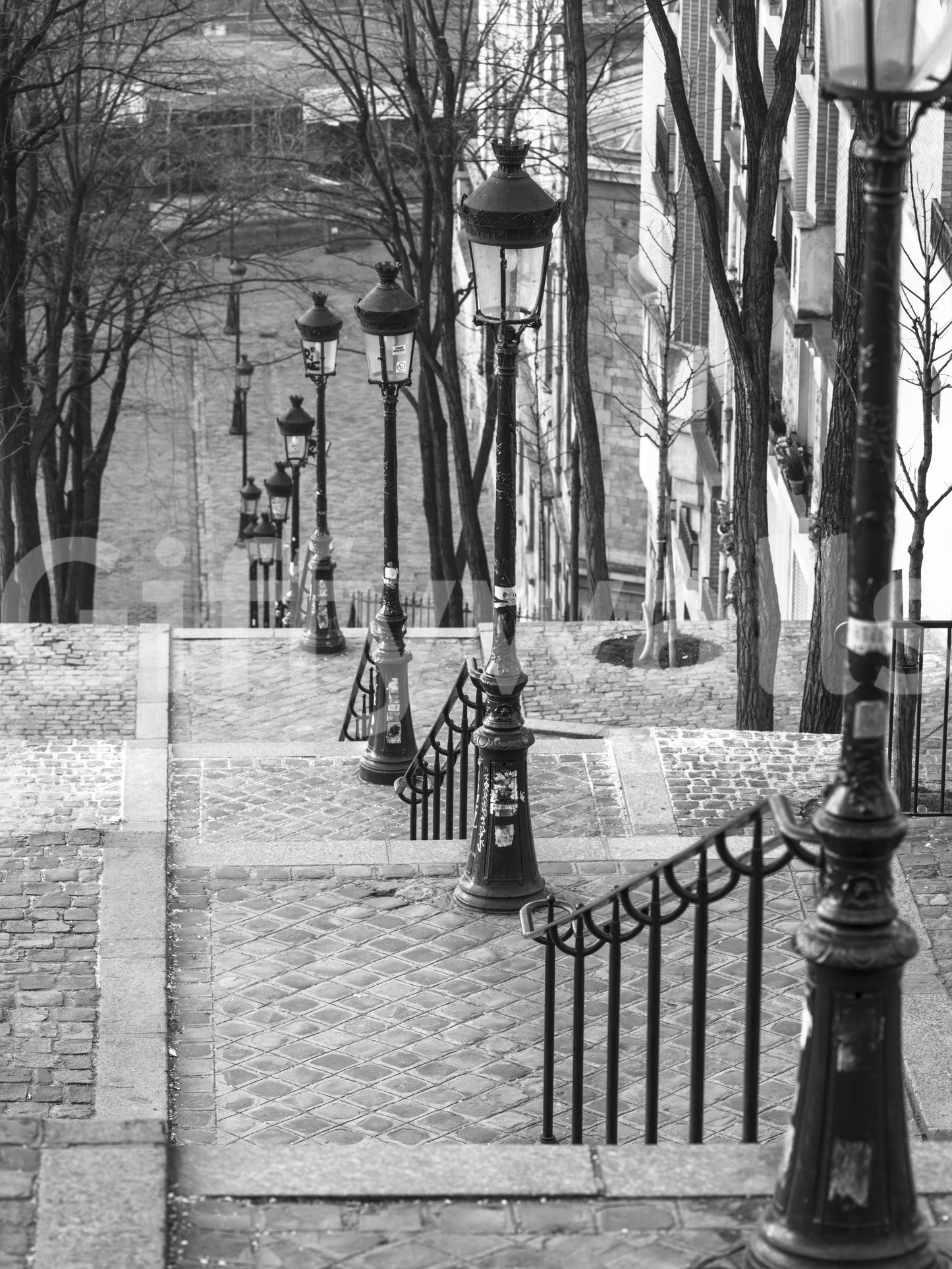Montmartre steps Wall Mural