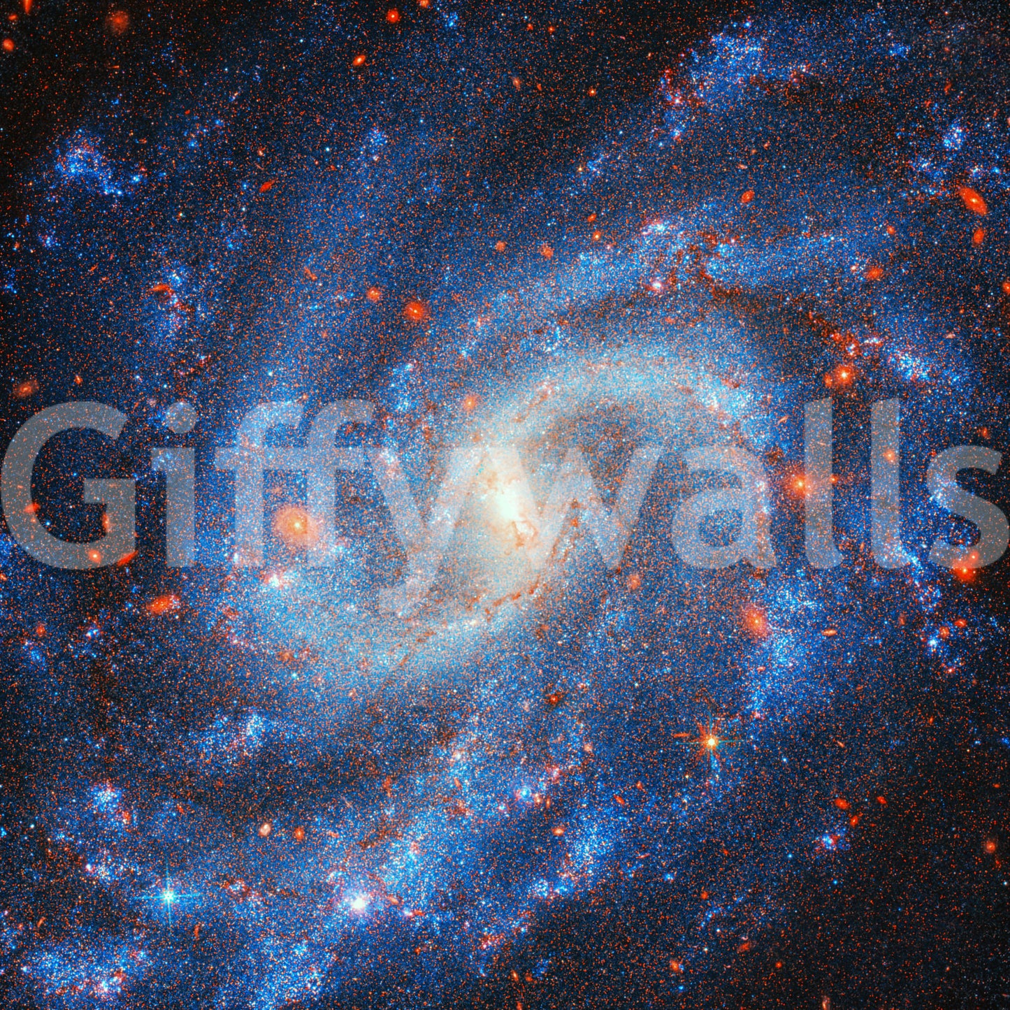 Distant Starfield Wall Mural