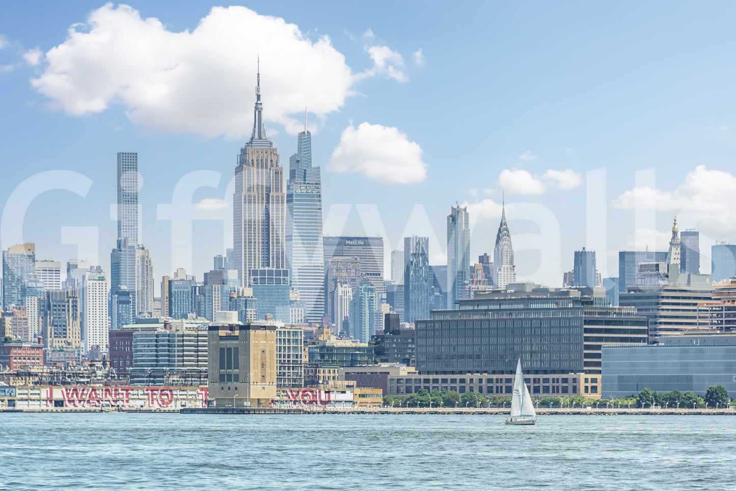 New York Skyline View Wall Mural