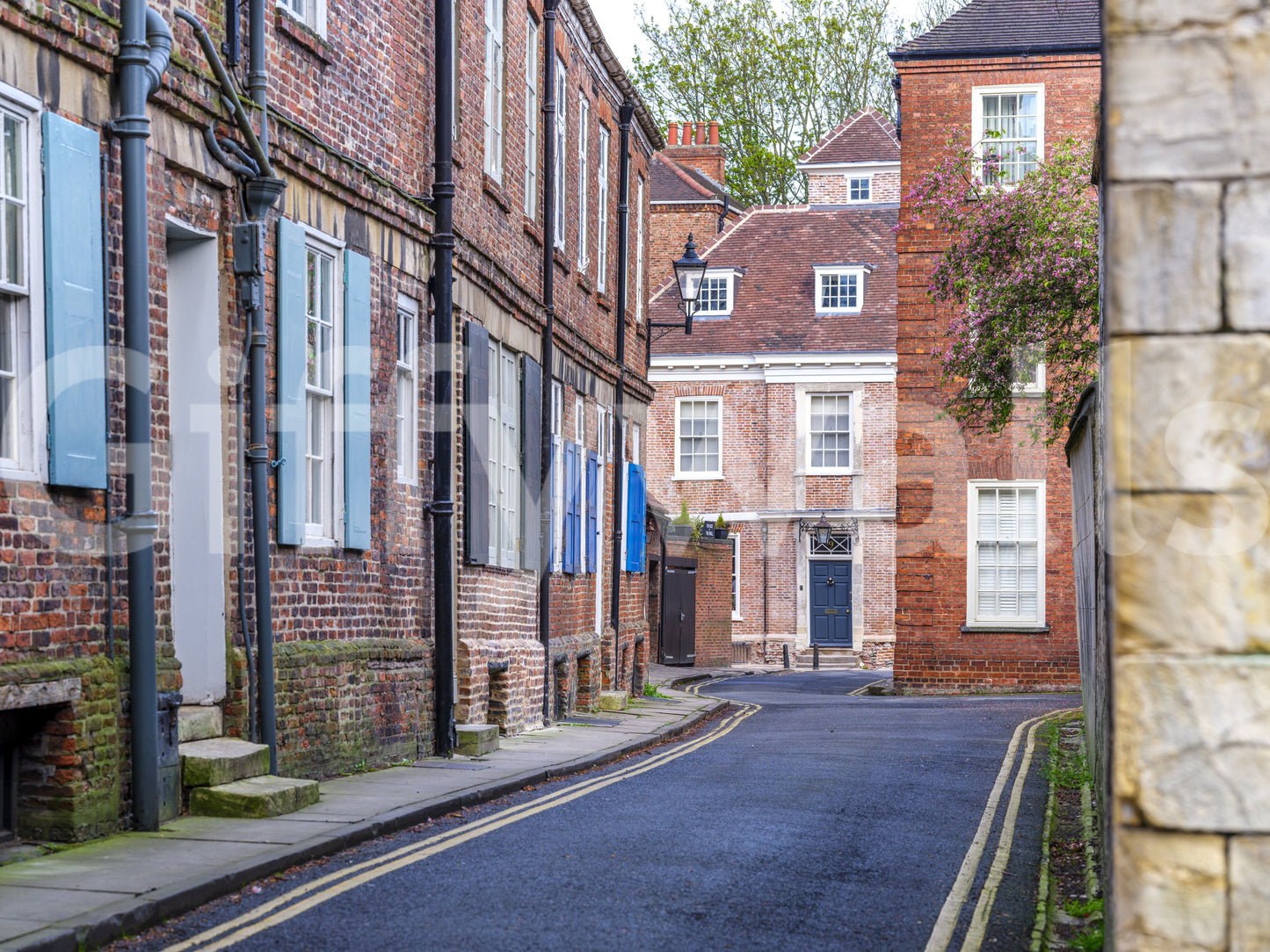 Fototapet cu alee englezească