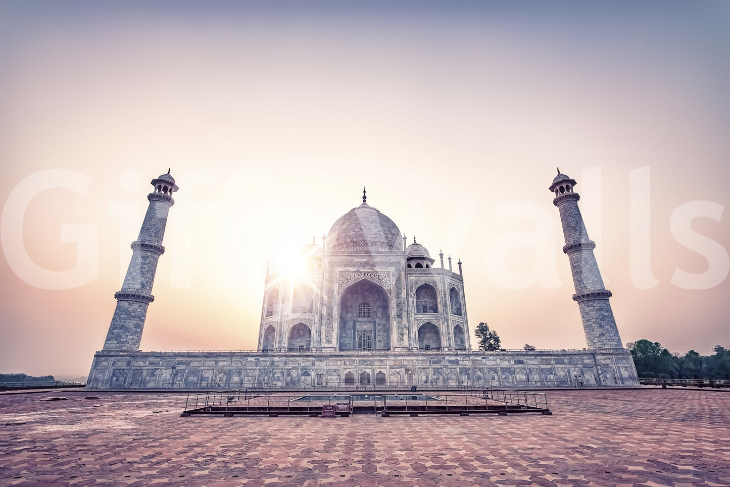 Pictură murală Taj Mahal Majesty