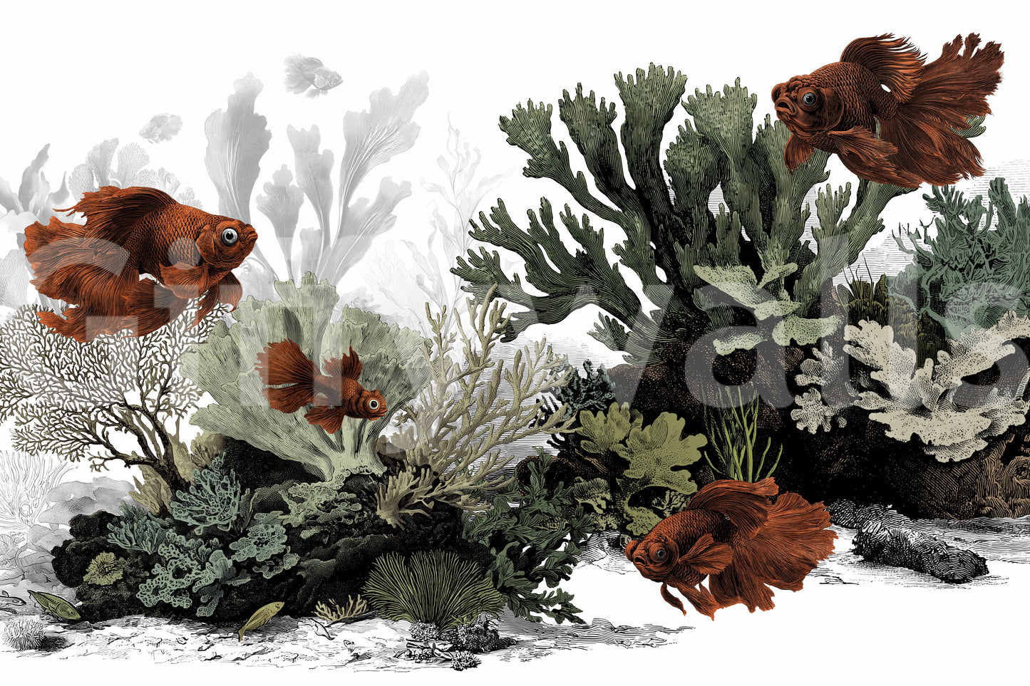 The Aquarium - Clean White Wall Mural