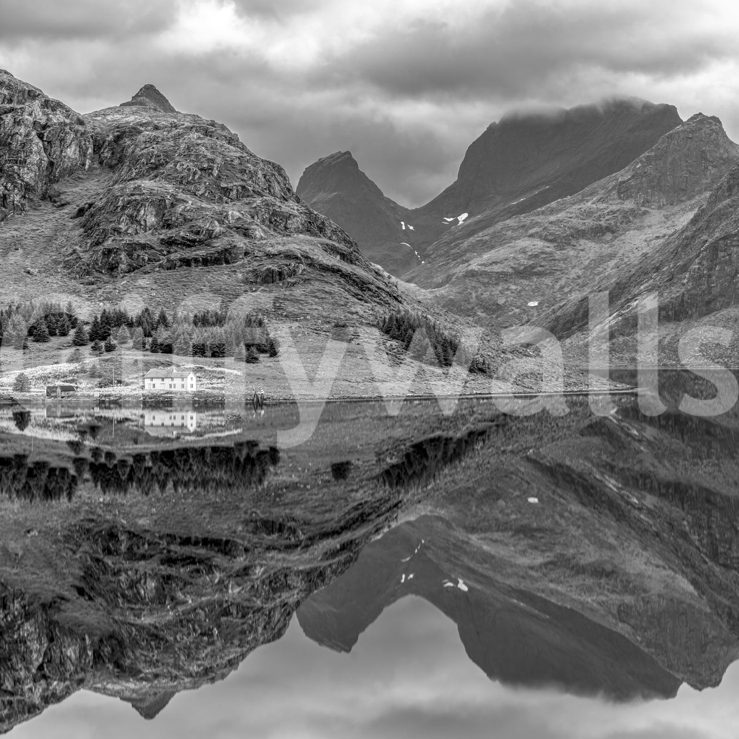Fjord Skønhed Vægmaleri