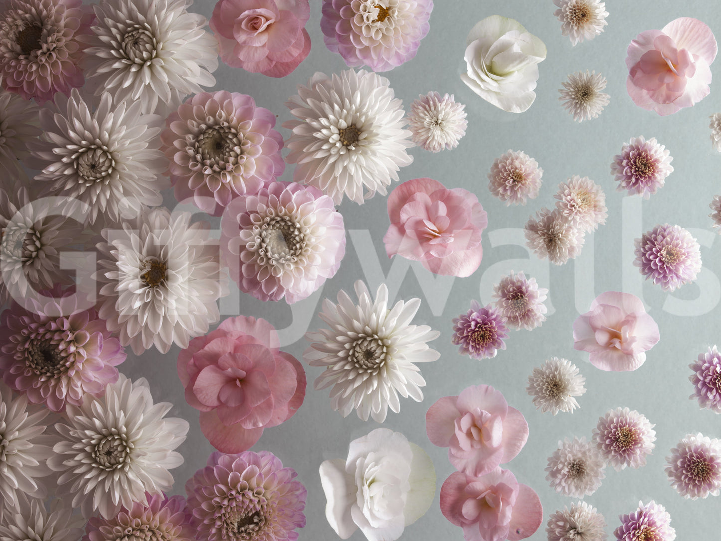 ブルーム・ブリスの壁画