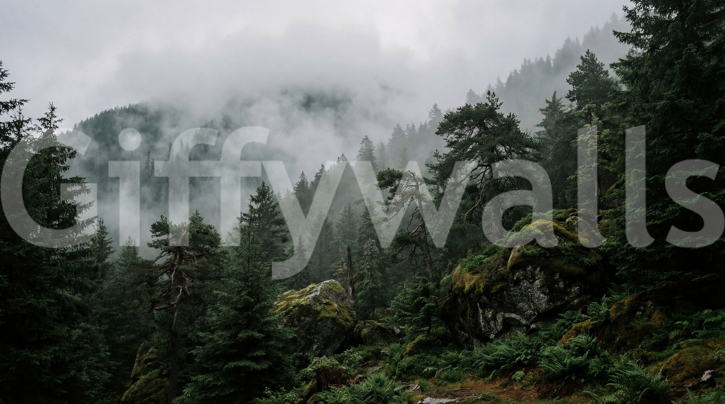 Fresque murale Forêt brumeuse