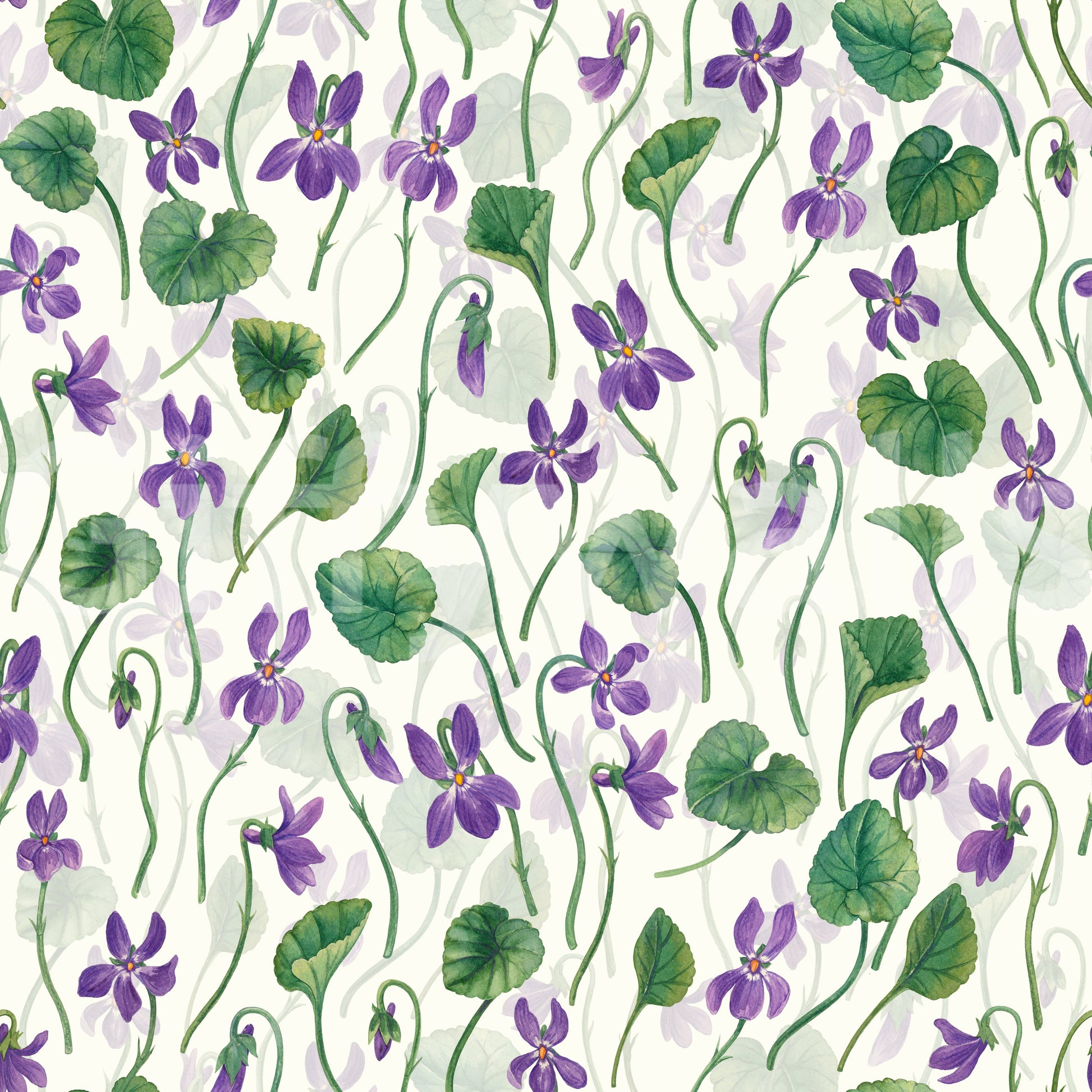 Modern floral wallpaper with violet flowers and off white surface