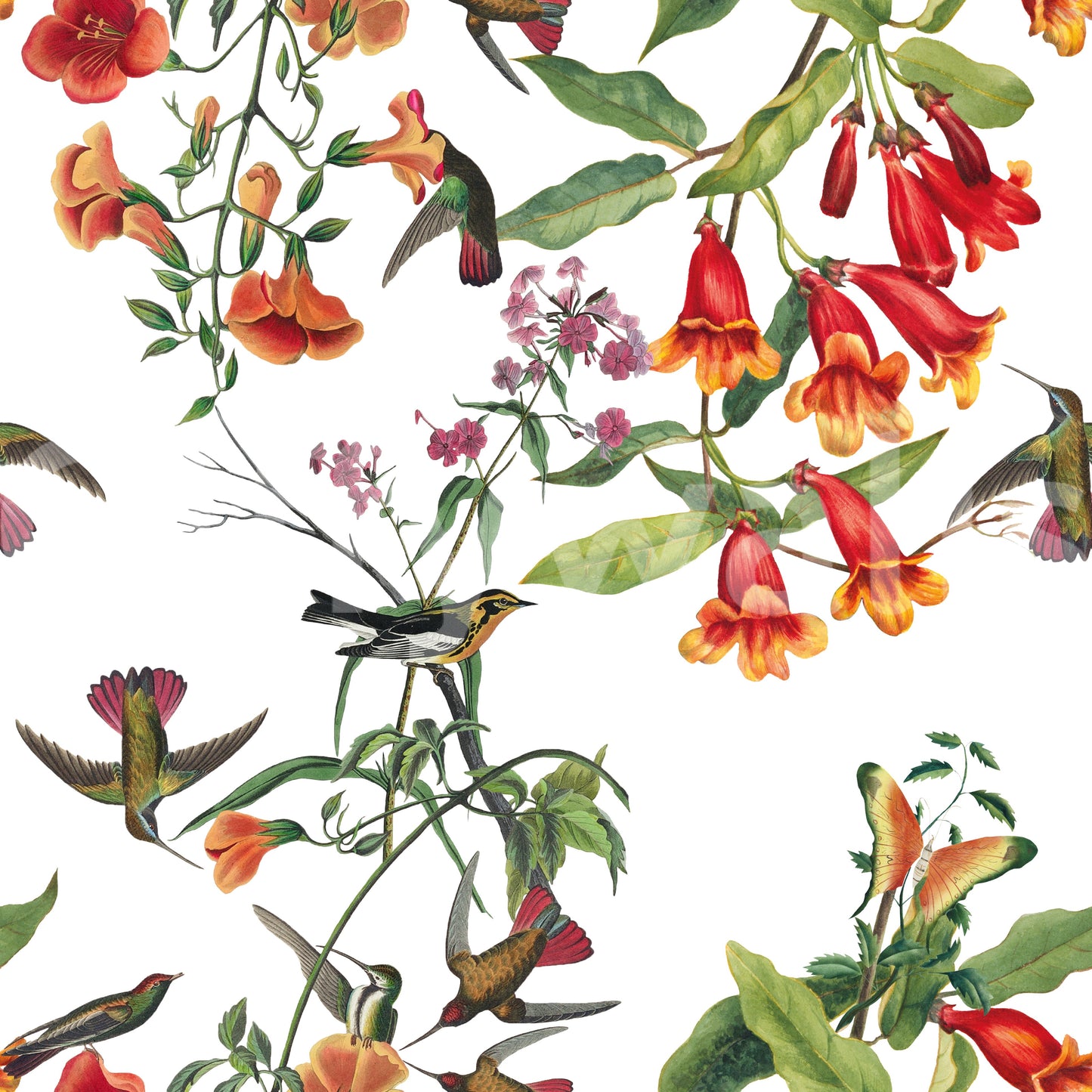 Exotische Gartenvögel und tropische Blumen Tapete